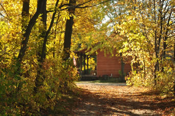 Our gorgeous cabin for rent is waiting for you!